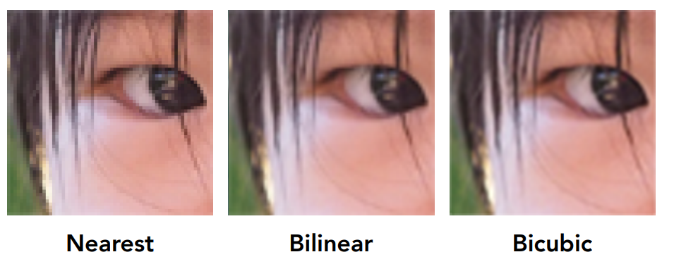 image-20231213224730080